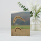Grasfutter Postkarte (Stehend Vorderseite)
