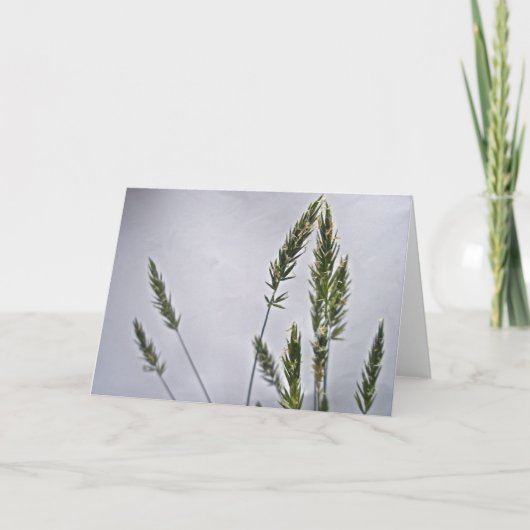 Grasfutterkarte Karte (Vorderseite)