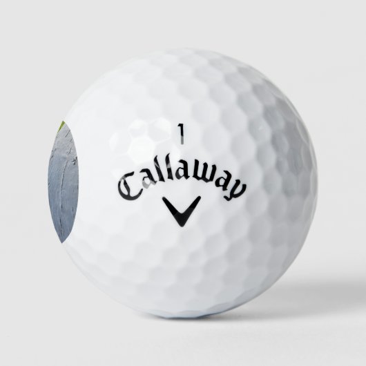 Grasgrün Golfball (Logo)