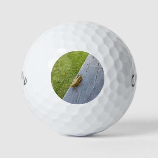 Grasgrün Golfball (Vorderseite)