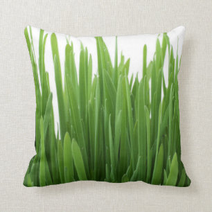 Grasgrün Kissen