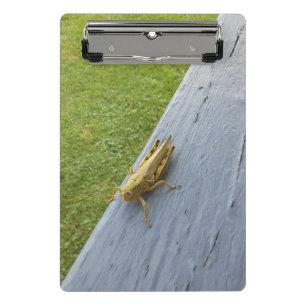 Grasgrün  mini klemmbrett