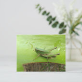 Grasgrün Postkarte (Stehend Vorderseite)