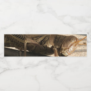 Grasgrün  wasserflaschenetikett