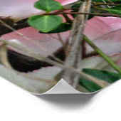 Grashalle Poster (Ecke)