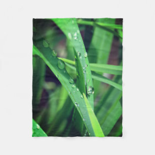 Grashoden Fleecedecke