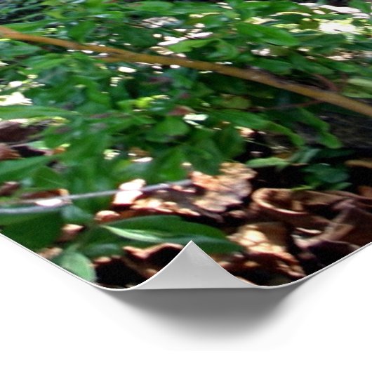 Grashütte Poster (Ecke)