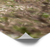 Grasjacke Poster (Ecke)