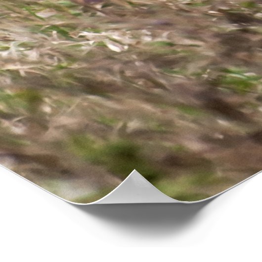 Grasjacke Poster (Ecke)