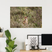 Grasjacke Poster (Heimbüro)