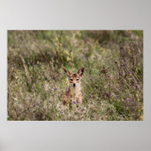 Grasjacke Poster (Vorne)