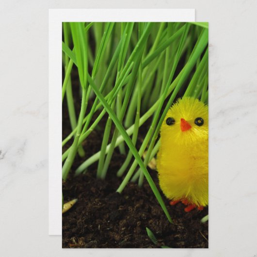 Graskichle Briefpapier (Vorne/Hinten)