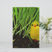 Graskichle Briefpapier (Stehend Vorderseite)