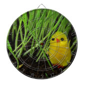 Graskichle Dartscheibe (vorne)