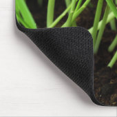 Graskichle Mousepad (Ecke)