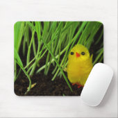 Graskichle Mousepad (Mit Mouse)