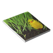 Graskichle Notizblock (angewinkelt)