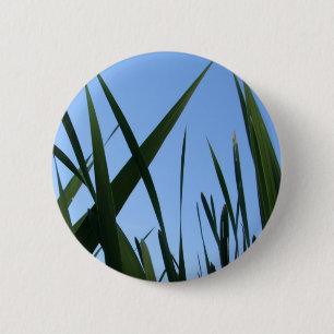 Grasknopf Button
