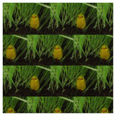 Graskuchen Stoff (Muster)
