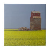 Grasland-Aufzugs-Landschaft Fliese (Vorderseite)