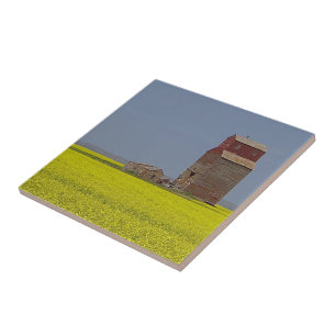 Grasland-Aufzugs-Landschaft Fliese