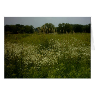 Grasland-Blumen-Karte