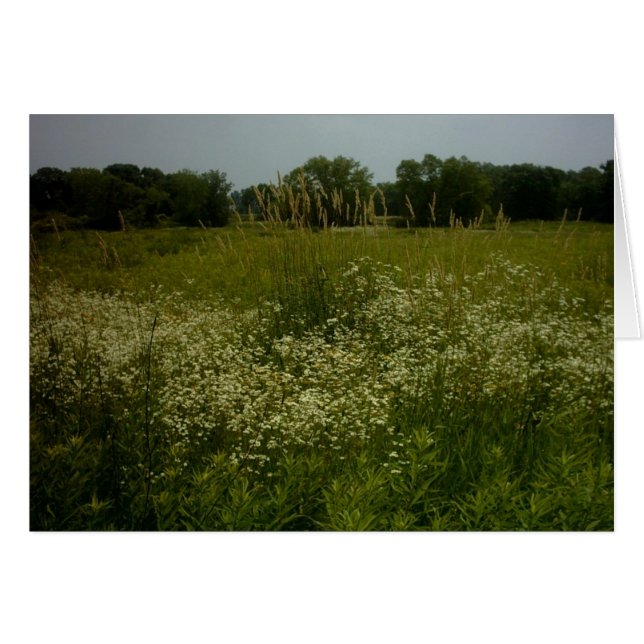 Grasland-Blumen-Karte (Vorderseite (Horizontal))