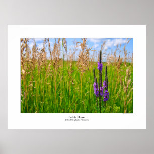 Grasland-Blumen-Plakat Poster