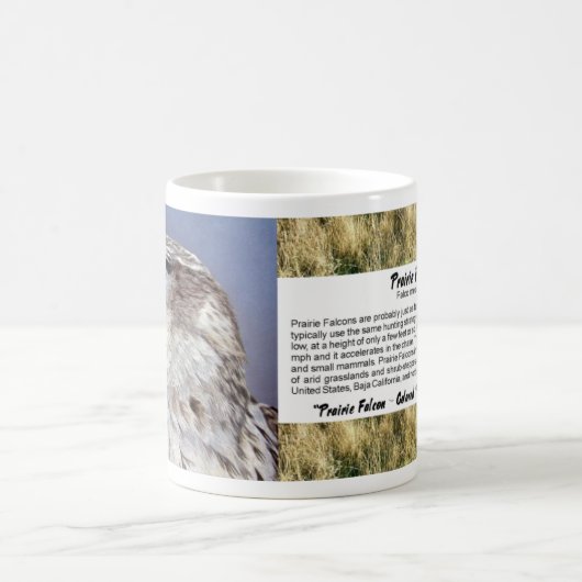 Grasland-Falke Kaffeetasse (Mittel)