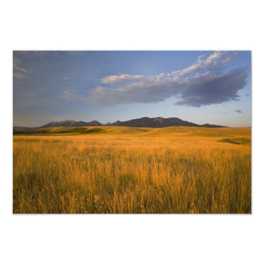 Grasland im Vorgebirge Fotodruck (Vorne)