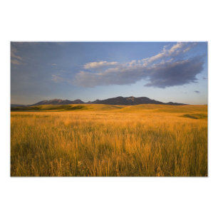 Grasland in den Vorgebirgen der Fotodruck