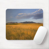 Grasland in den Vorgebirgen der Mousepad (Mit Mouse)
