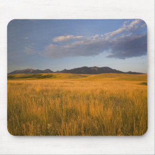 Grasland in den Vorgebirgen der Mousepad