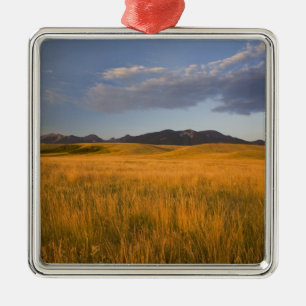 Grasland in den Vorgebirgen der Silbernes Ornament