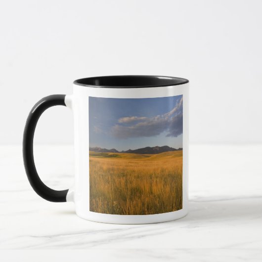 Grasland in den Vorgebirgen der Tasse (Links)