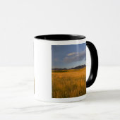 Grasland in den Vorgebirgen der Tasse (VorderseiteRechts)