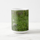 Grasland kaffeetasse (Mittel)