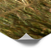 Grasland Poster (Ecke)