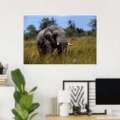 Grasland Poster (Heimbüro)