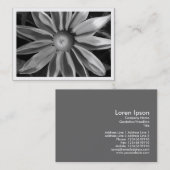 Grasland Sun Rudbekia, MiniFoto Visitenkarte (Vorne/Hinten)