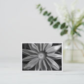 Grasland Sun Rudbekia, MiniFoto Visitenkarte (Stehend Vorderseite)