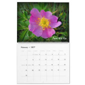 Grasland-Wildblume-Kalender Kalender (Feb 2027)