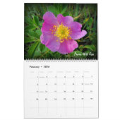 Grasland-Wildblume-Kalender Kalender (Feb 2026)