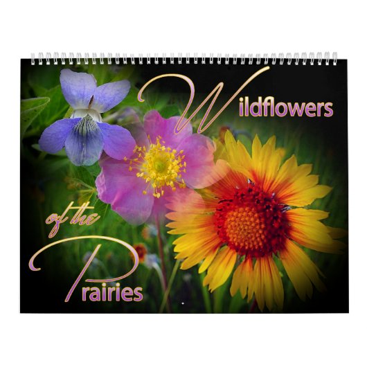 Grasland-Wildblume-Kalender Kalender (Titelbild)