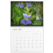 Grasland-Wildblume-Kalender Kalender (Jan 2027)
