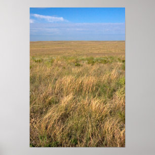 Graslandsprärie östlich von Sidney, Nebraska. Poster
