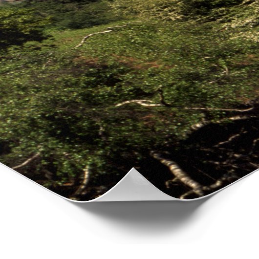 Grasmere Lake District England Poster (Ecke)