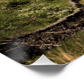 Grasmere Lake District England Poster (Ecke)