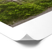 Grasmere Railposter Poster (Ecke)