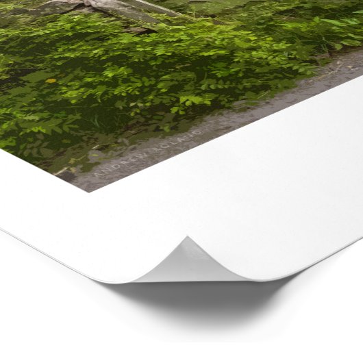 Grasmere Railposter Poster (Ecke)